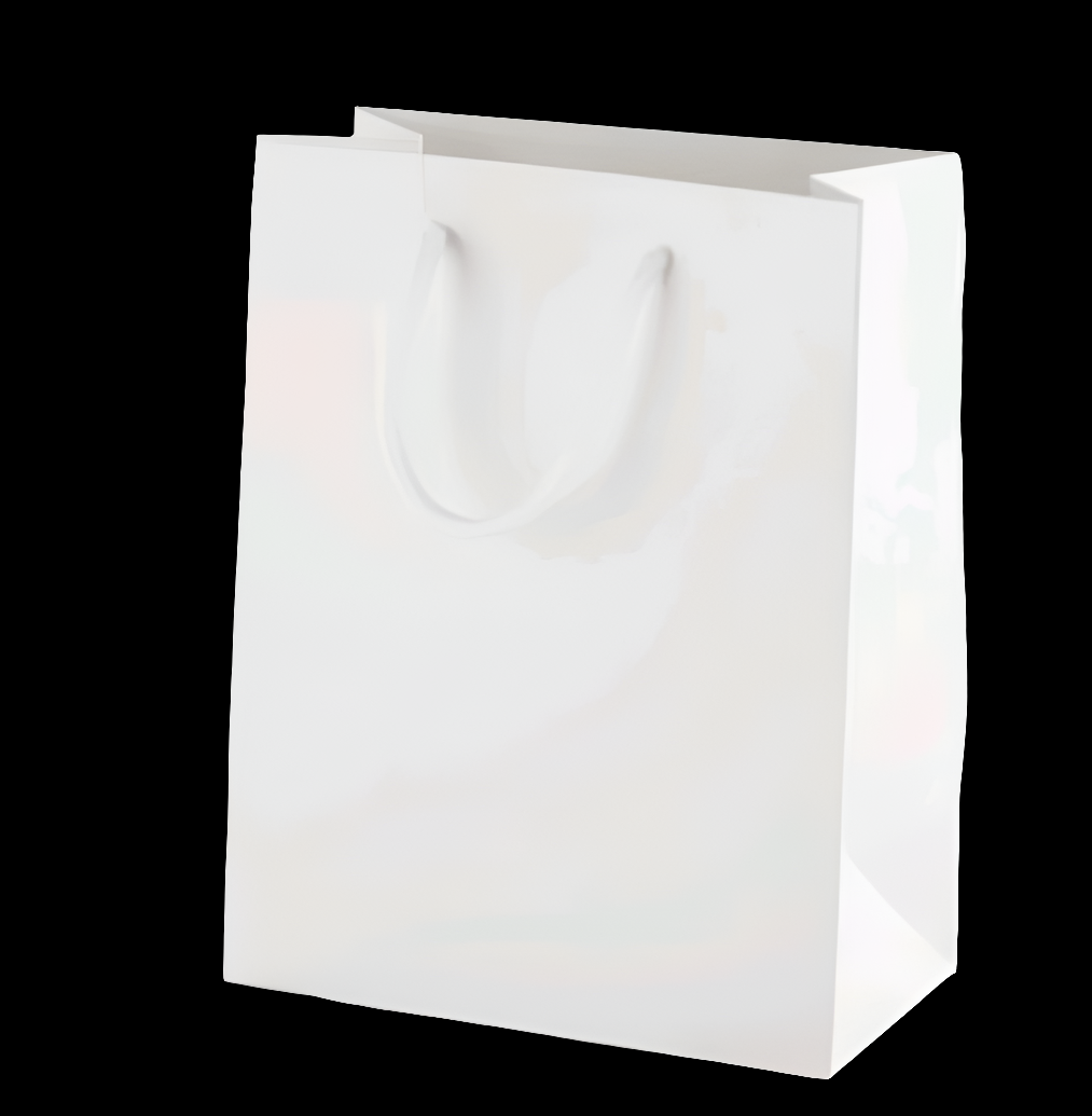 PBWS03 Paper Small Bag 9x7x3Inches