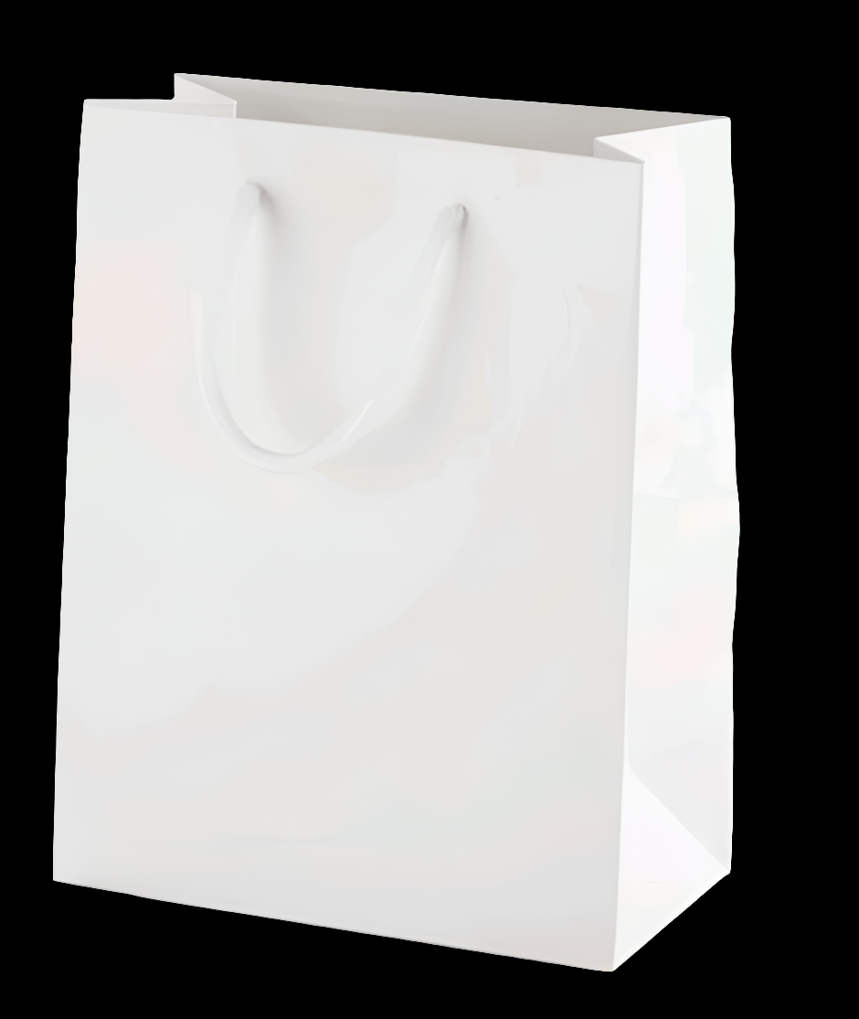 PBWM04 Paper Bag Medium 14x10x3.5Inches