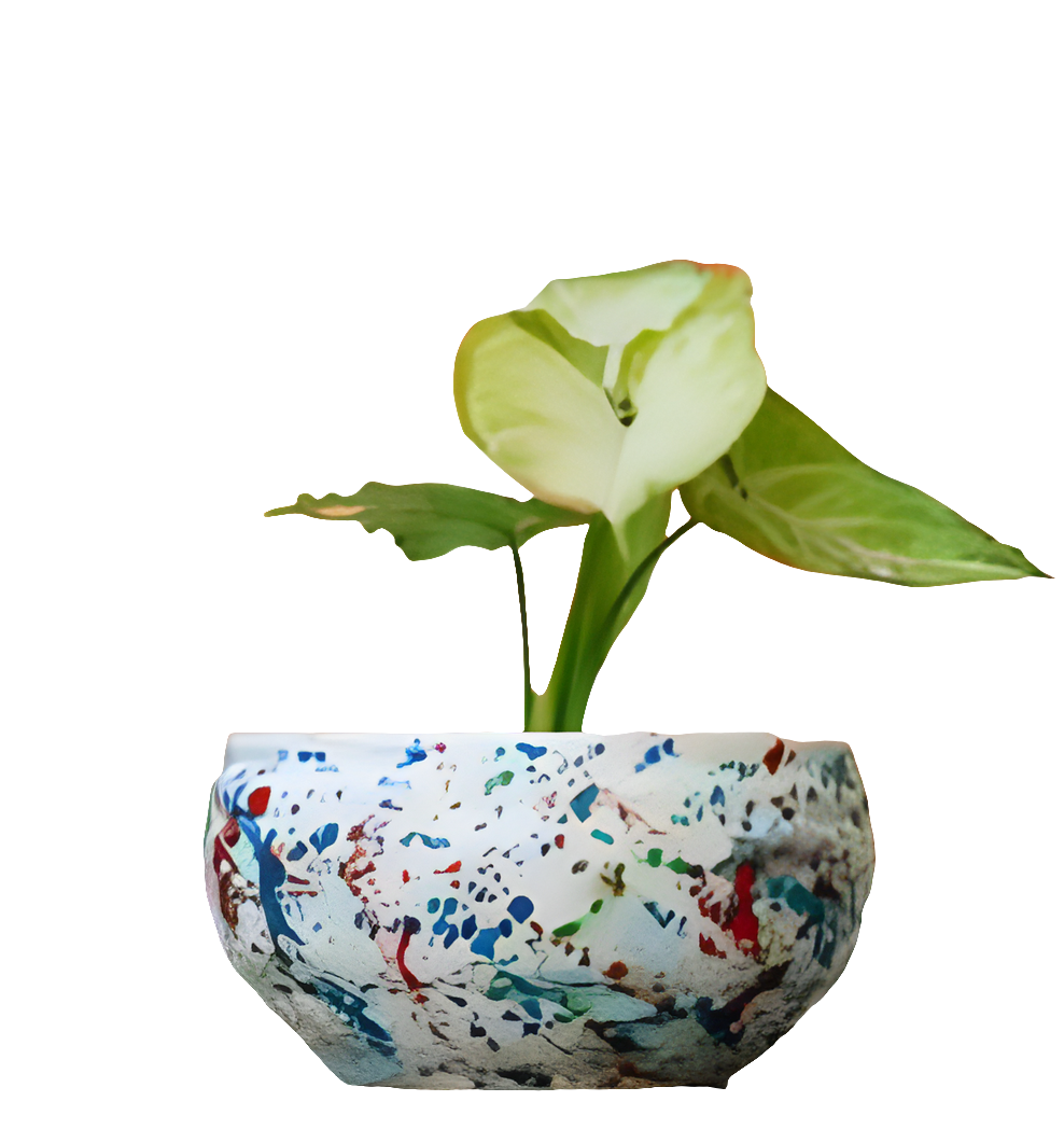 PCP07 Ceramic pot Bowl Small Table Top Planters pot multicolour