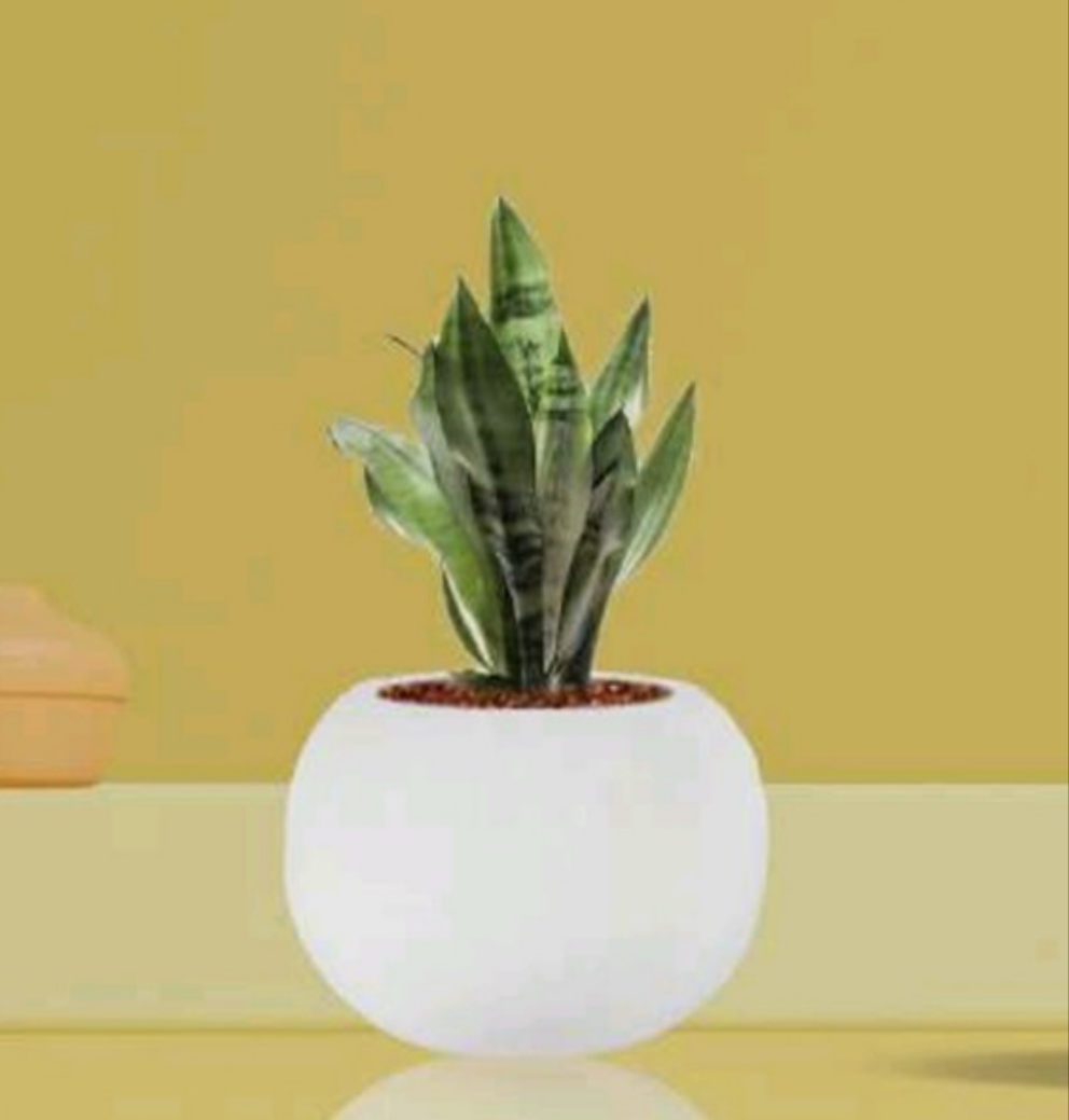 PCP06 Ceramic pot Bony white Table Top Planters pot