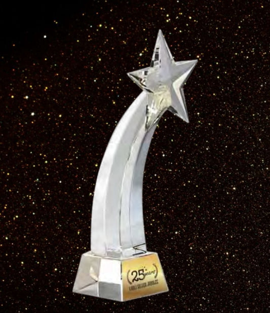 PC117-(10.5 inches)crystal trophies (star)