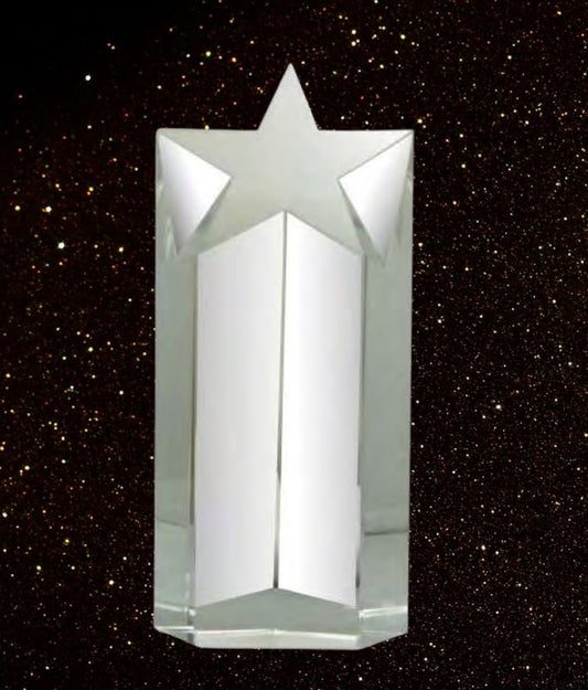 PC145-(8 inches) Star award trophy