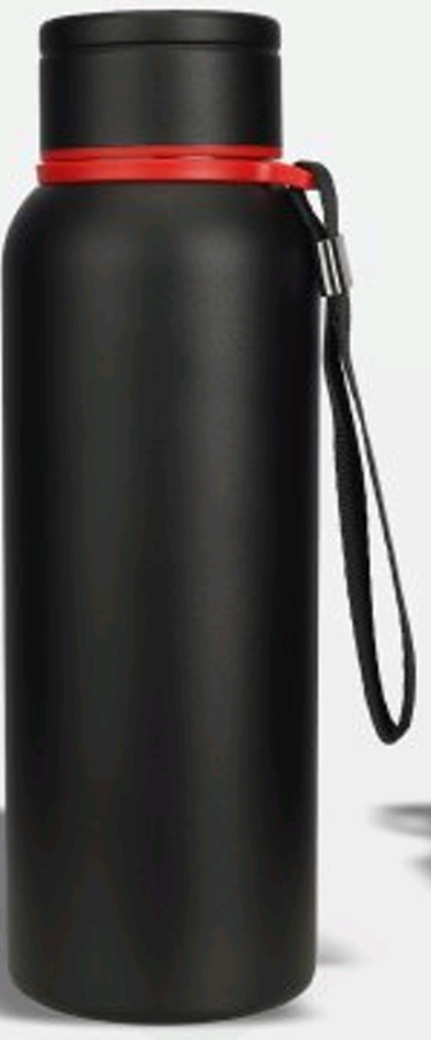 WBV33. Stainless Steel Water Bottle | Thermal Water Bottle | Easy to Carry | Rust Proof | Leak Proof | Travel Bottle | Vacuum Insulated Water Bottle (Black)