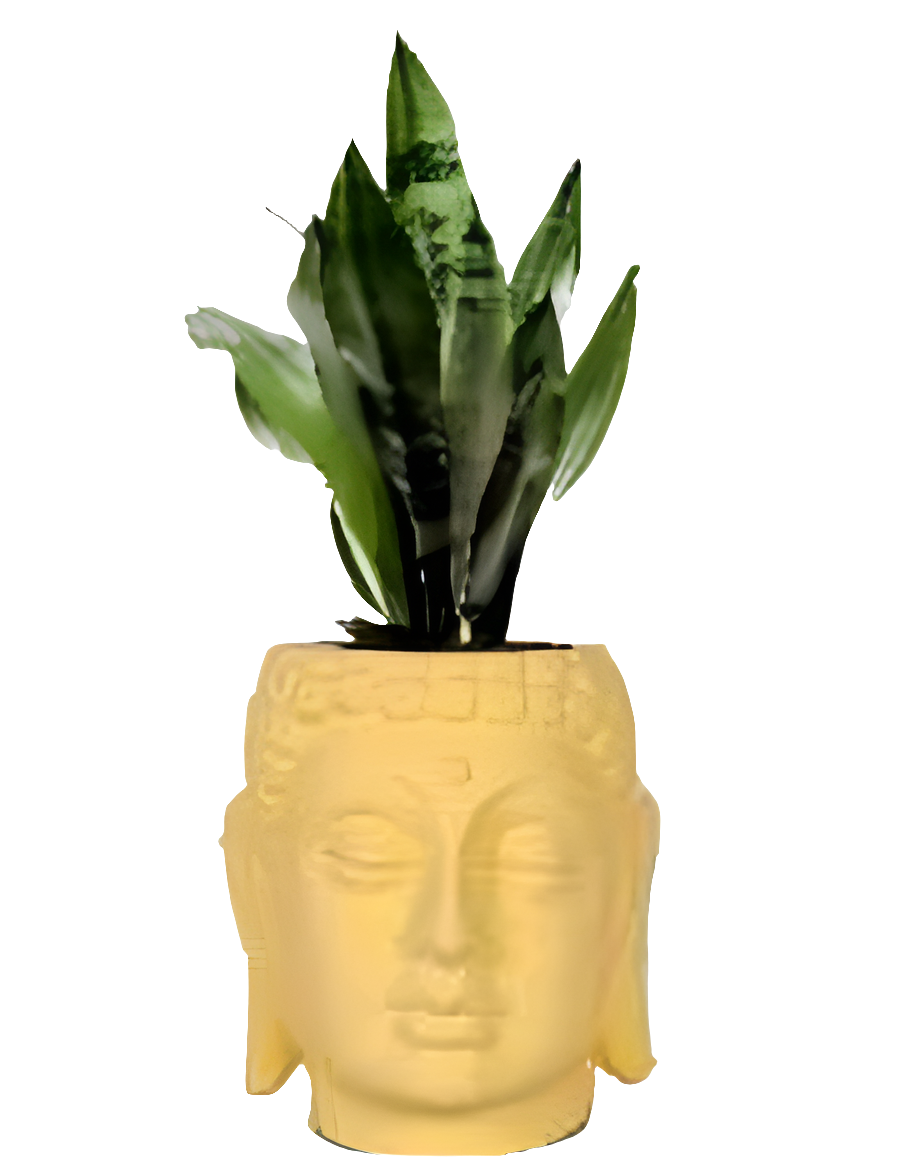 PCP08 Ceramic pot Buddha 6Inch Table Top Planters pot multicolour