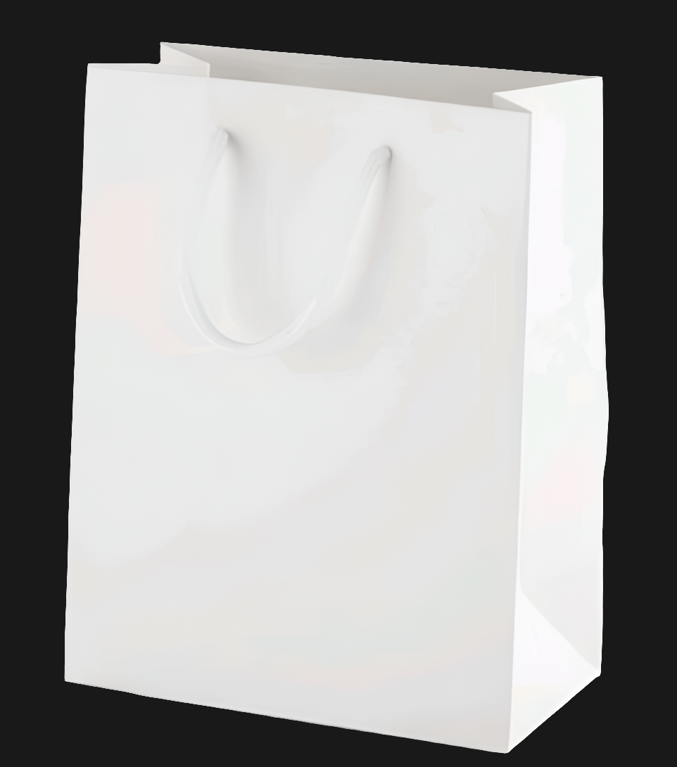 PBWL05 Paper Bag Large White 16x12x4Inches