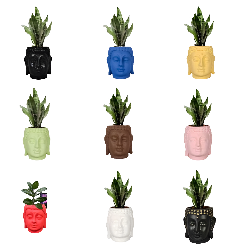 PCP08 Ceramic pot Buddha 6Inch Table Top Planters pot multicolour