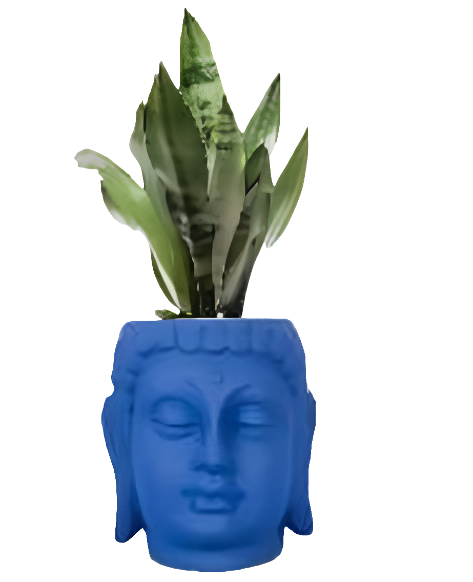 PCP08 Ceramic pot Buddha 6Inch Table Top Planters pot multicolour