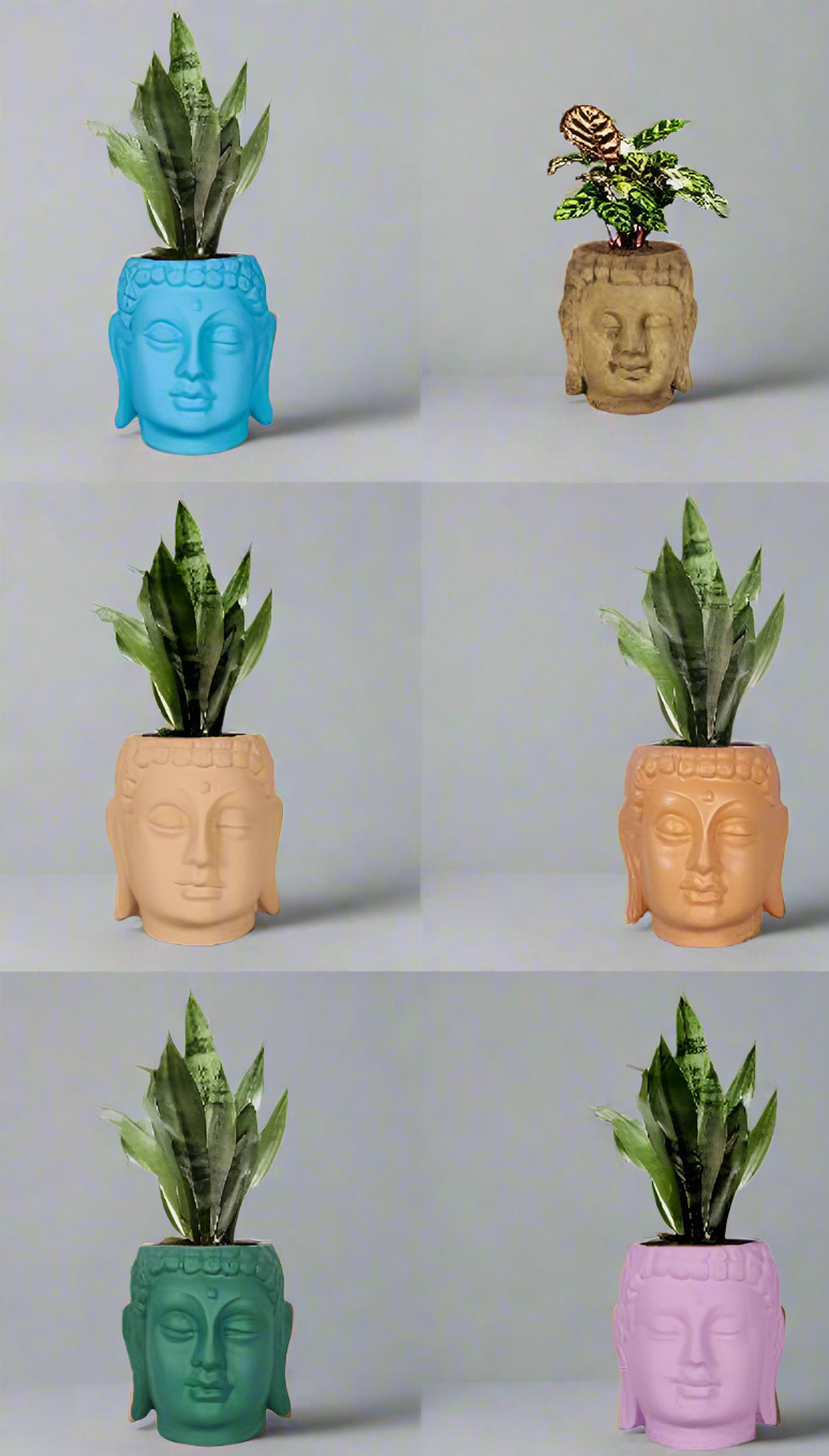 PCP10 Ceramic pot Buddha 3.5Inch Table Top Planters pot multicolour