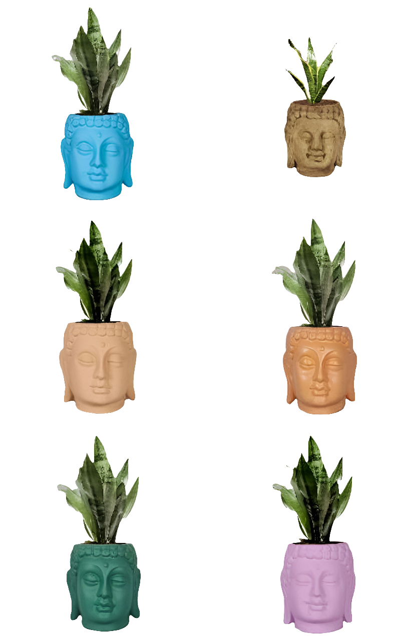 PCP08 Ceramic pot Buddha 6Inch Table Top Planters pot multicolour