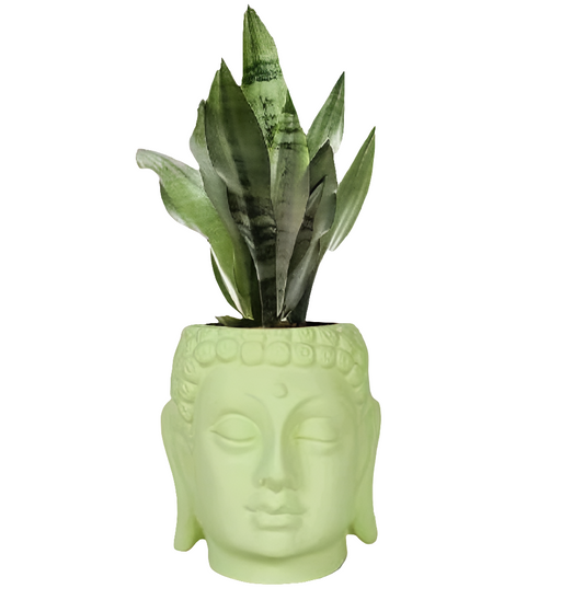 PCP09 Ceramic pot Buddha 5Inch Table Top Planters pot multicolour