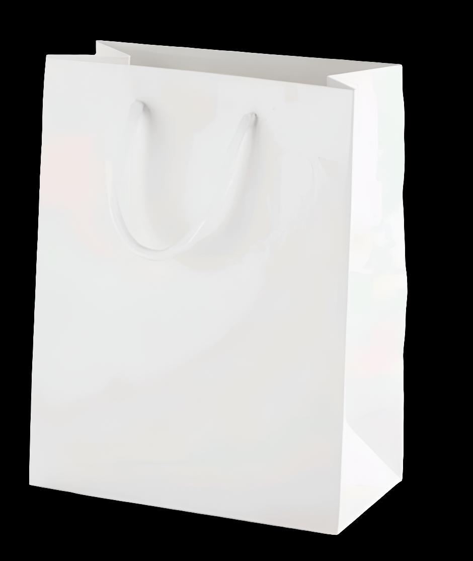 PBWM04  Paper Bag Medium 14x10x3.5Inches