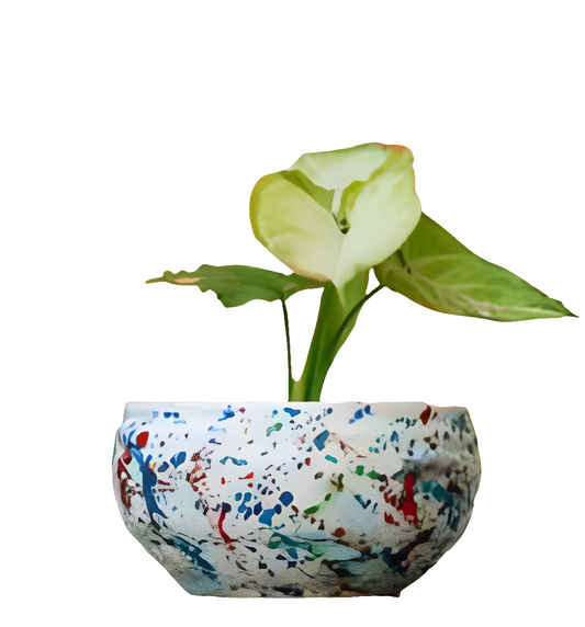 PCP07 Ceramic pot Bowl Small  Table Top Planters pot multicolour