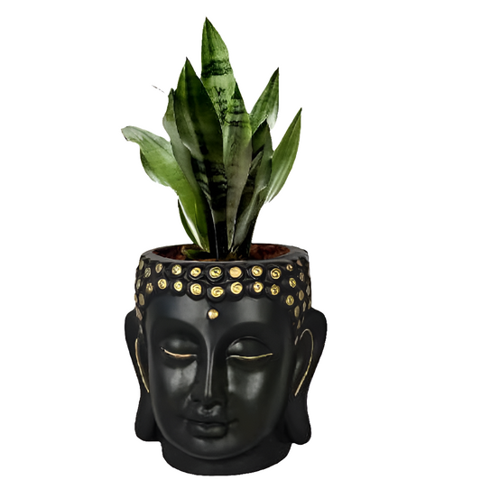 PCP08 Ceramic pot Buddha 6Inch Table Top Planters pot multicolour