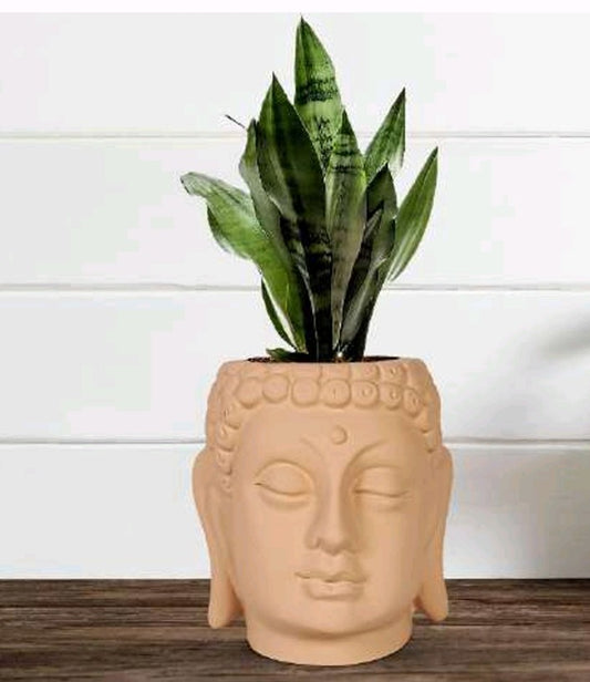 PCP10 Ceramic pot Buddha 3.5Inch Table Top Planters pot multicolour