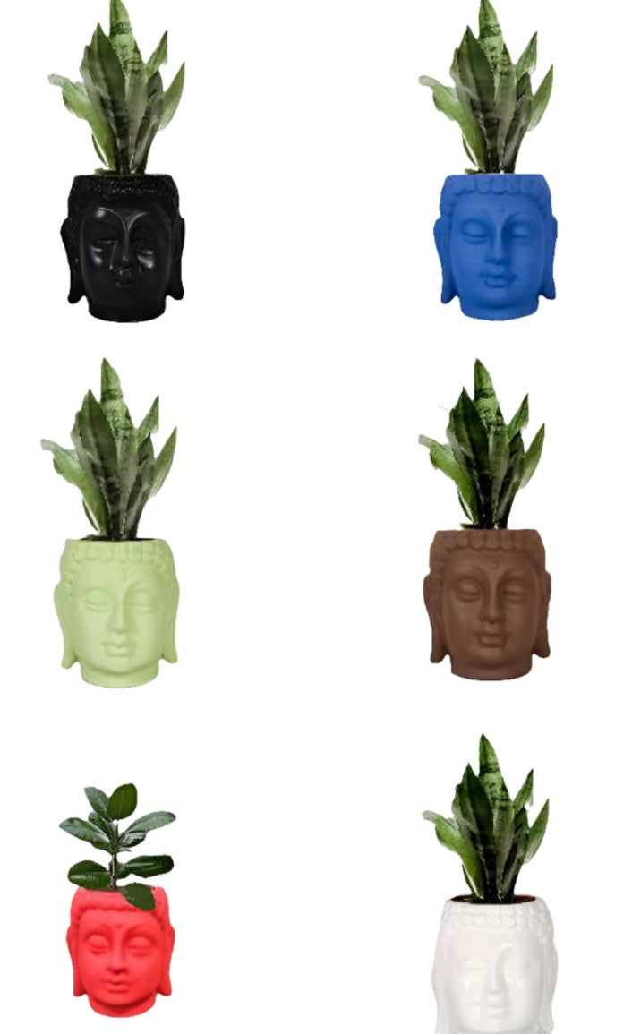 PCP09 Ceramic pot Buddha 5Inch Table Top Planters pot multicolour