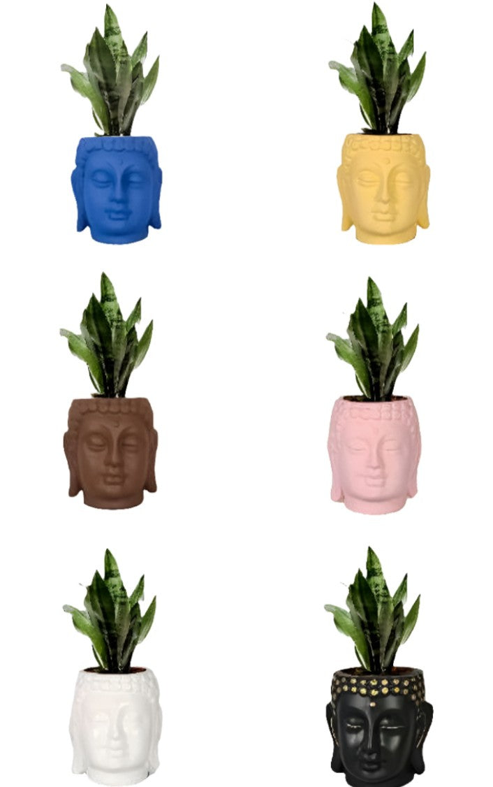 PCP09 Ceramic pot Buddha 5Inch Table Top Planters pot multicolour