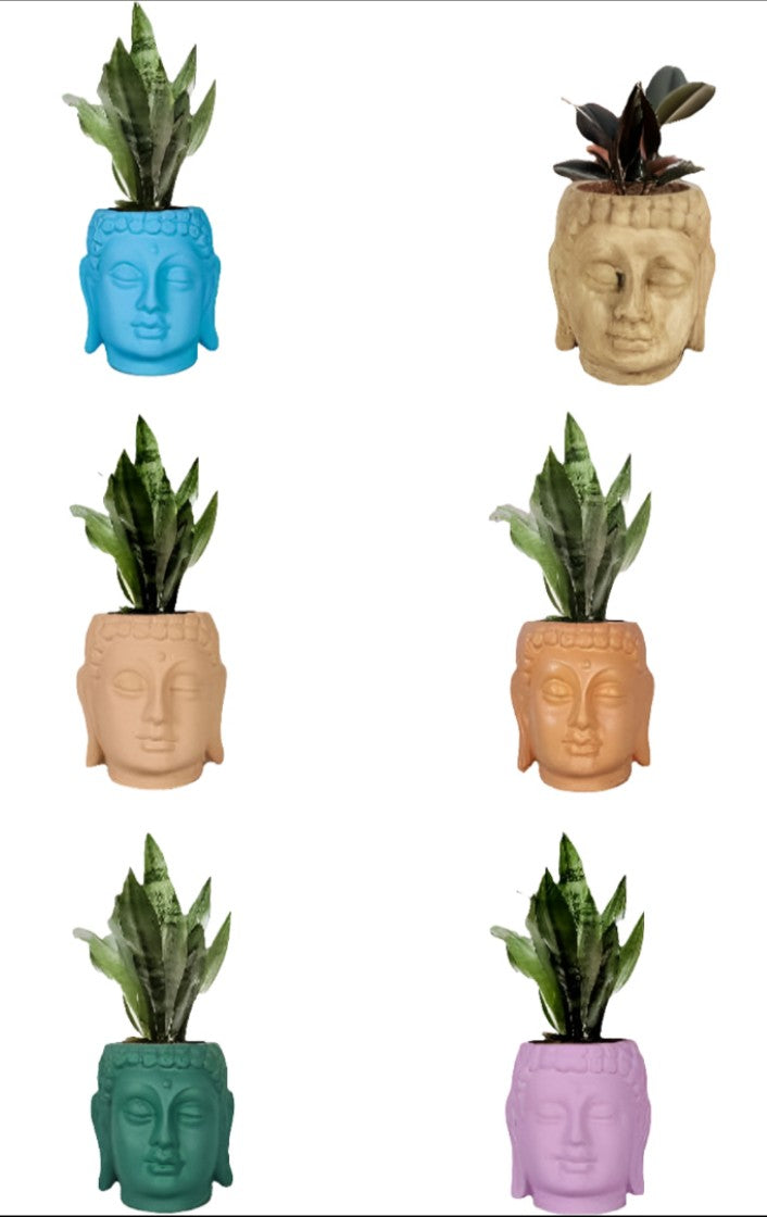 PCP09 Ceramic pot Buddha 5Inch Table Top Planters pot multicolour