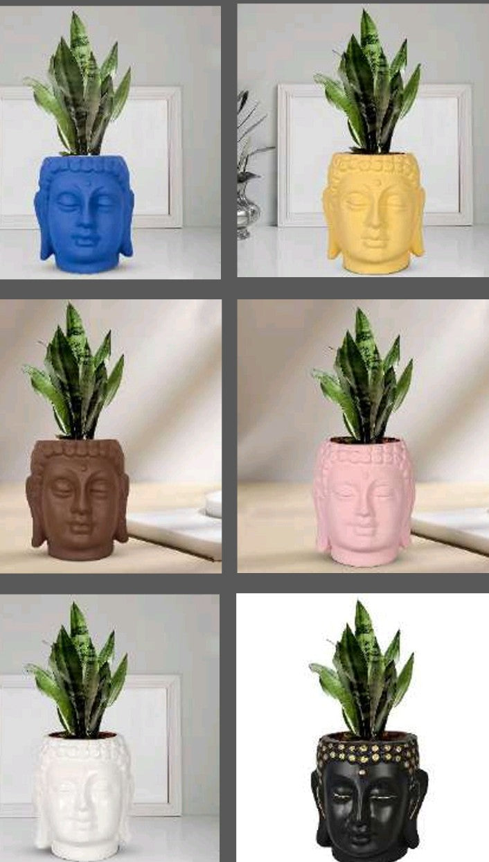 PCP10 Ceramic pot Buddha 3.5Inch Table Top Planters pot multicolour